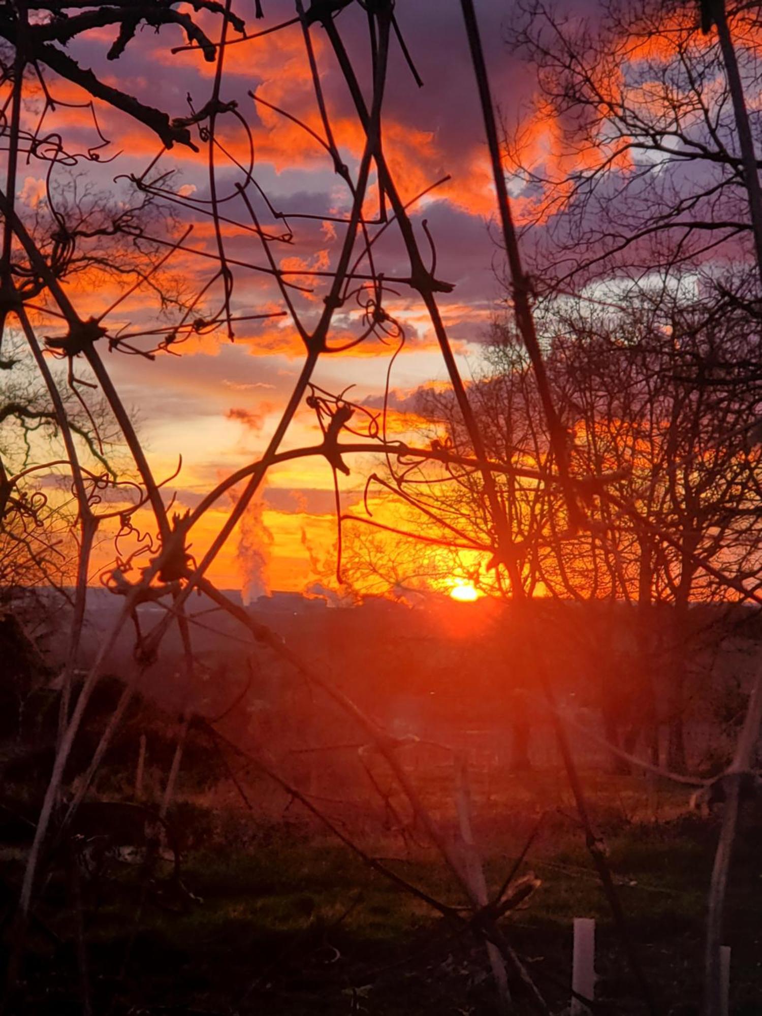 Au Coeur De La Touraine