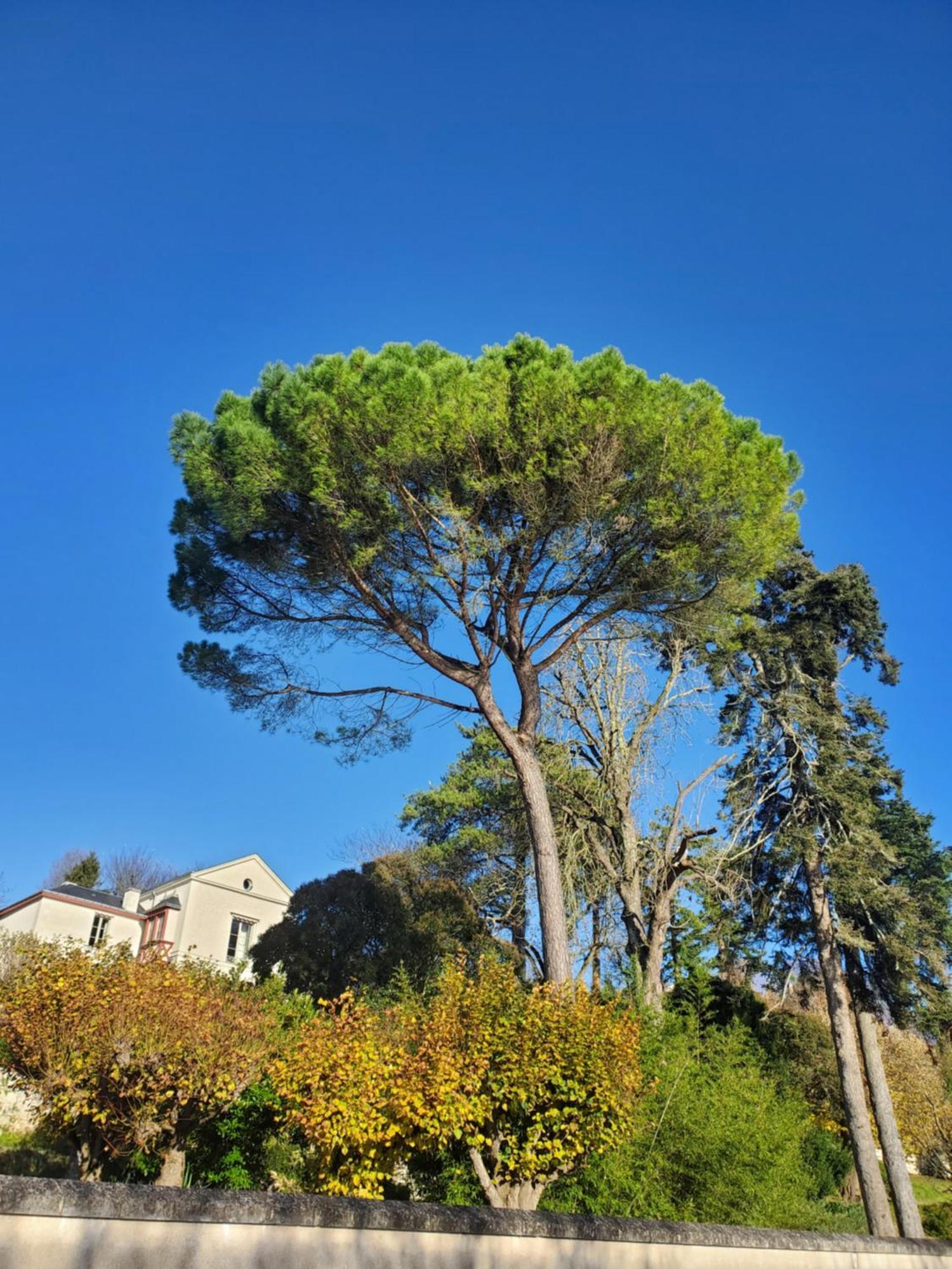 Au Coeur De La Touraine *
