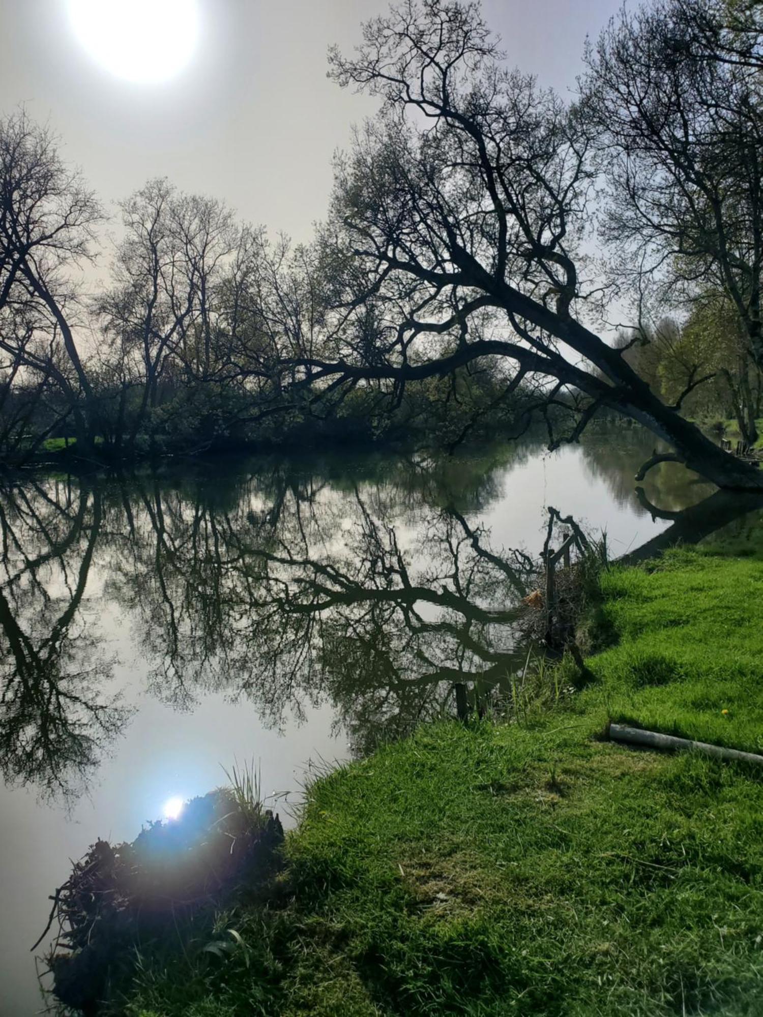 Au Coeur De La Touraine La Chapelle-sur-Loire