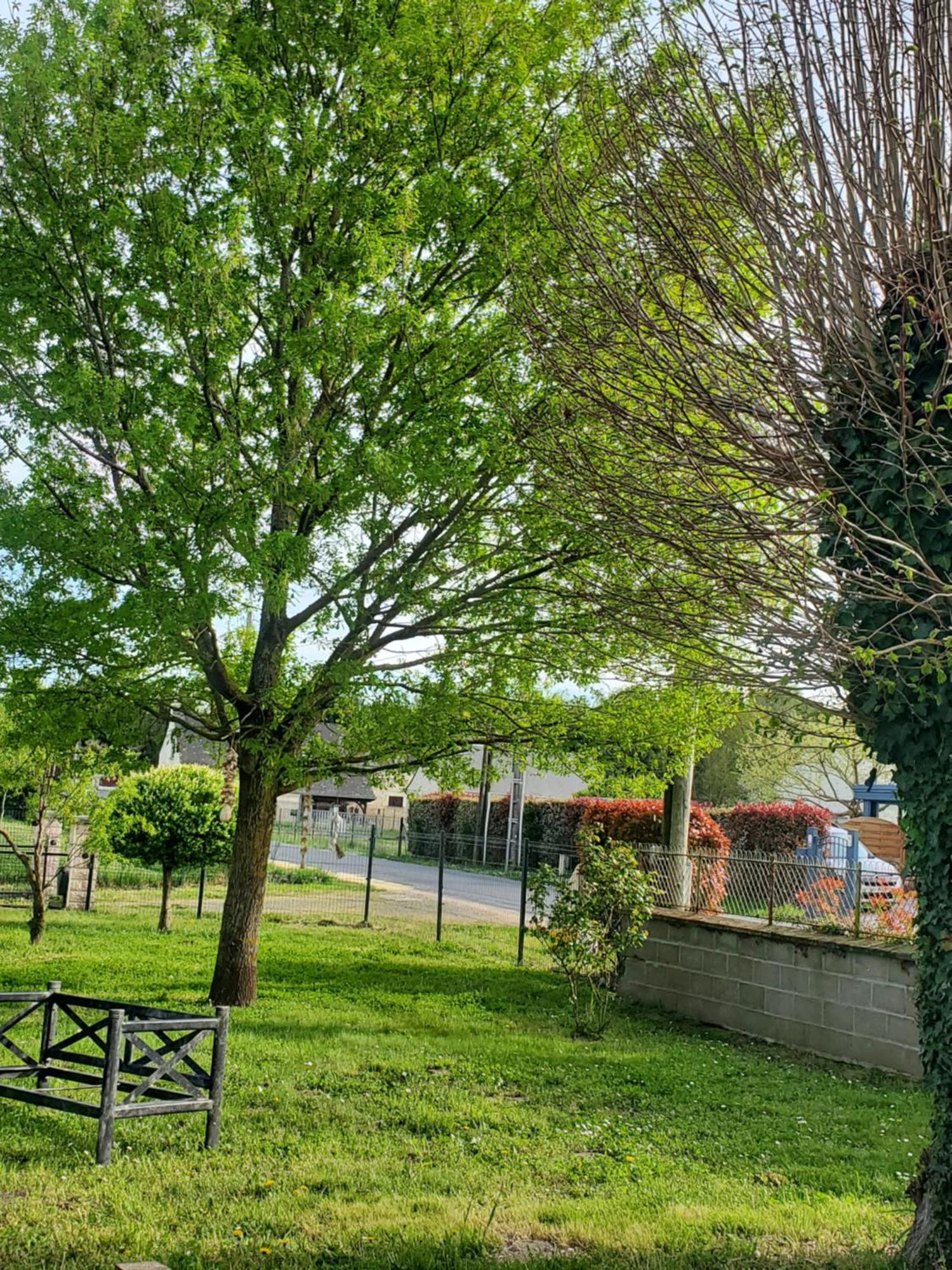 Au Coeur De La Touraine Ferienhaus *